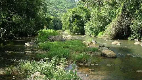 Vydehi water falls