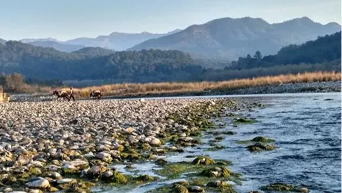 Kosi River