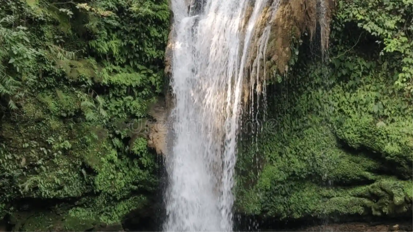 CORBETT FALL