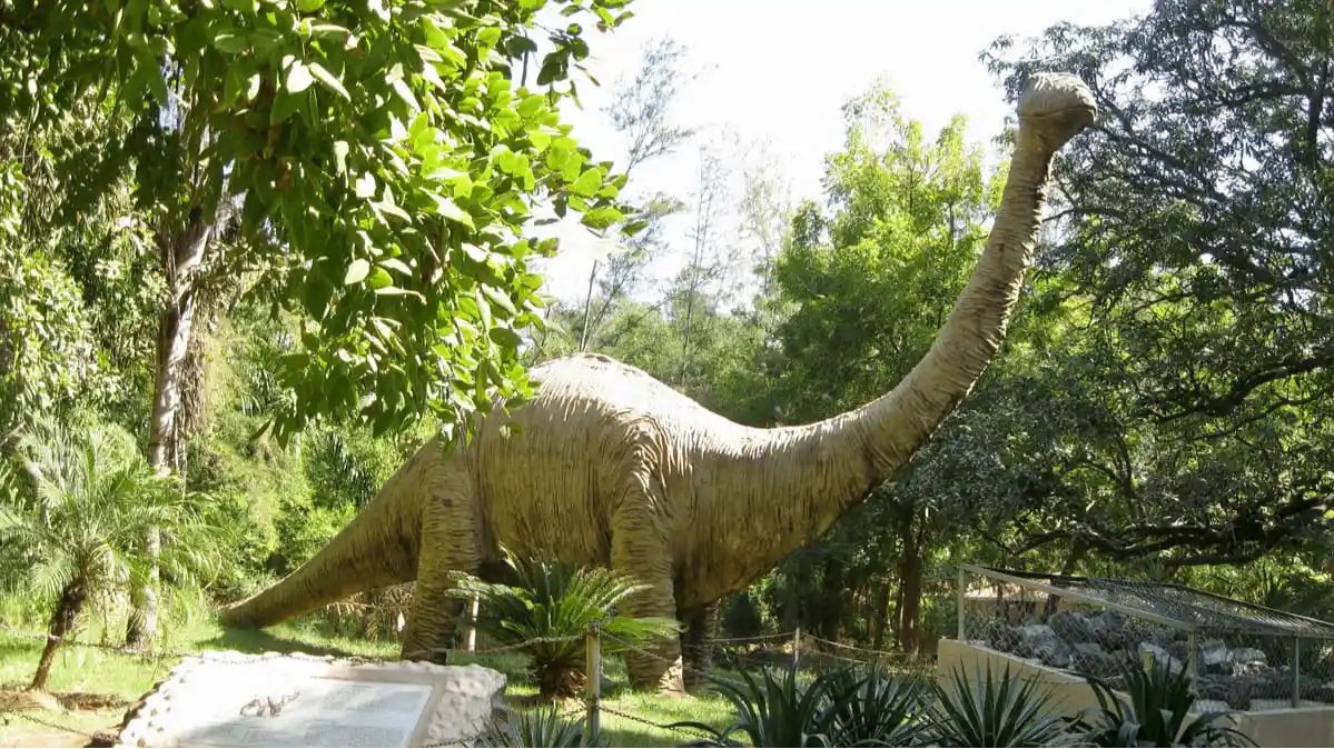 Indroda Nature Park