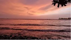 Fort Kochi Beach