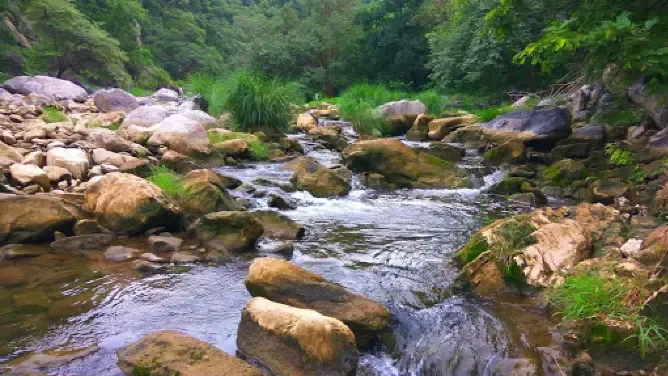 Jawai River