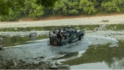 The jungle safari