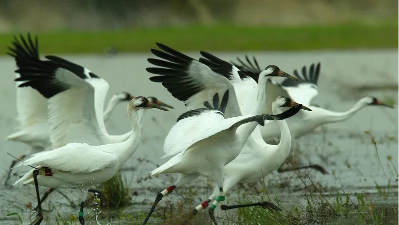 Sultanpur National Park