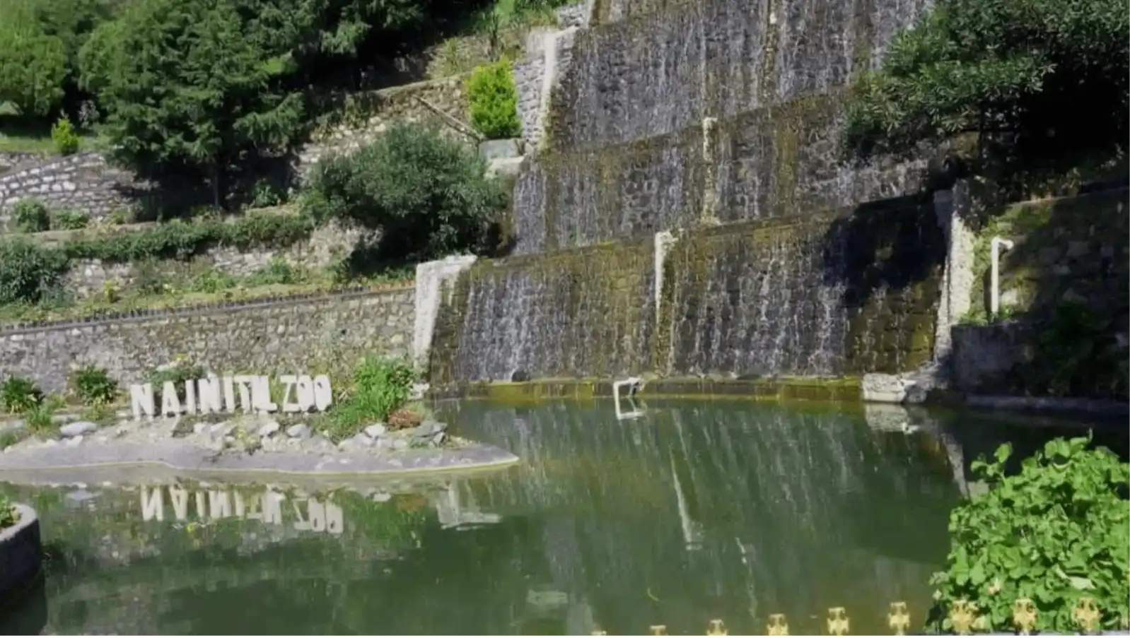 Nainital Zoo
