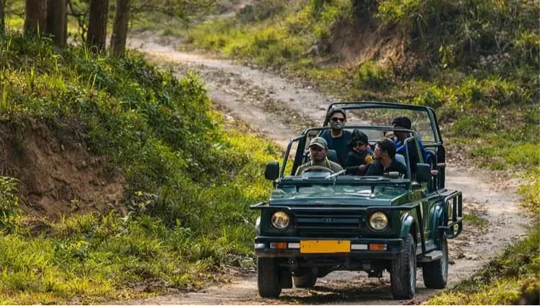 Chilla Range: Rajaji National Park Jeep Safari in Rishikesh