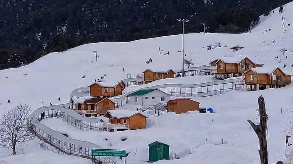 Auli
