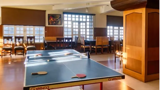 Play Area