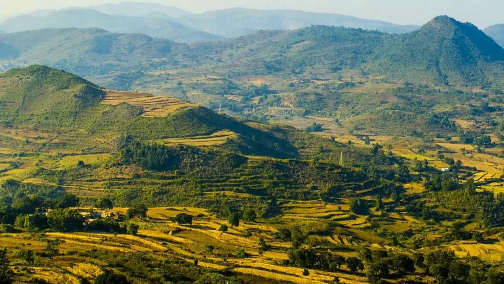 Araku Valley