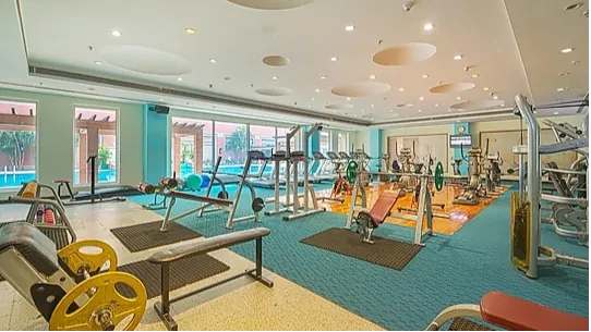 Gymnasium