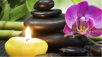 Spa & Wellness