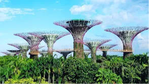 Gardens by the Bay