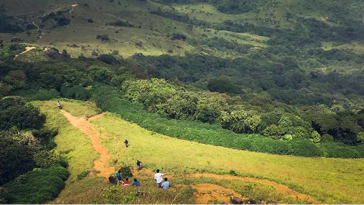 Kotebetta Trek Coorg