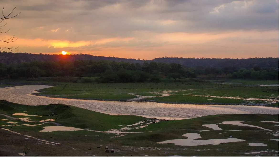 Damdama Lake