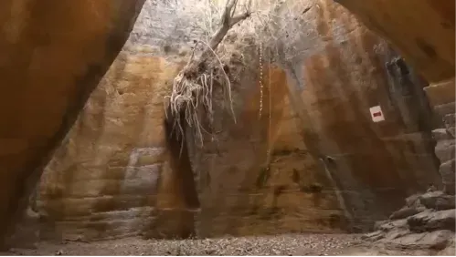 Naida Caves