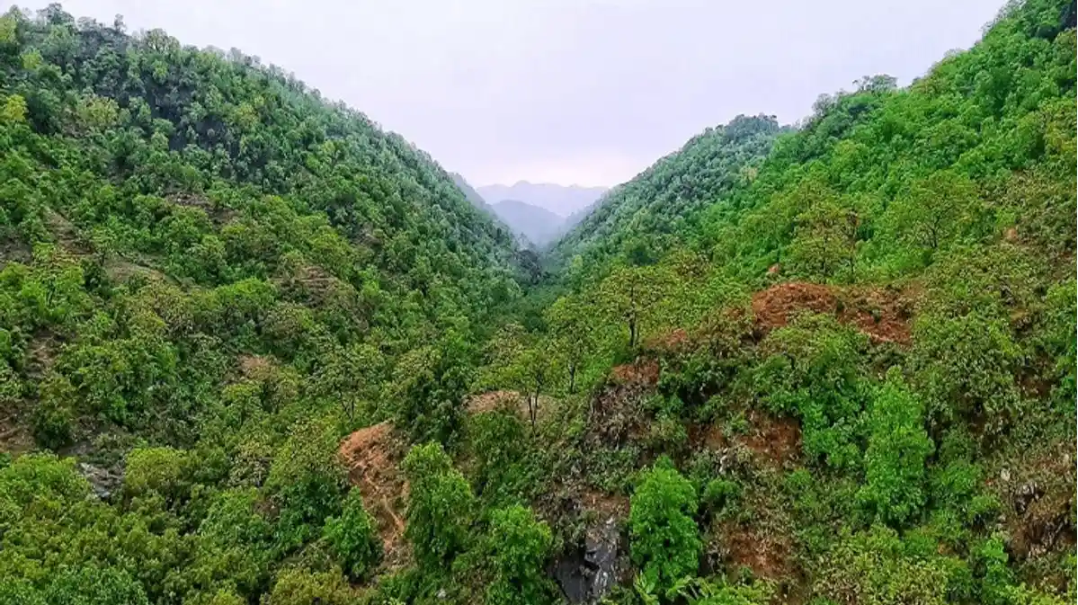 Kumbhalgarh Wildlife Sanctuary