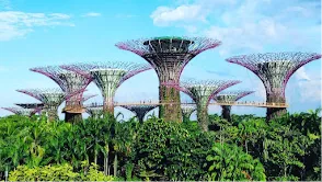 Gardens by the Bay