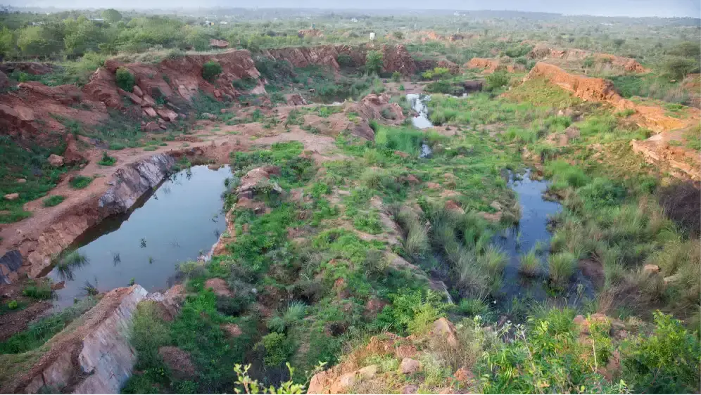 Aravali Biodiversity Park