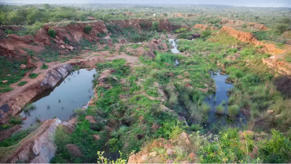 Aravali Biodiversity Park