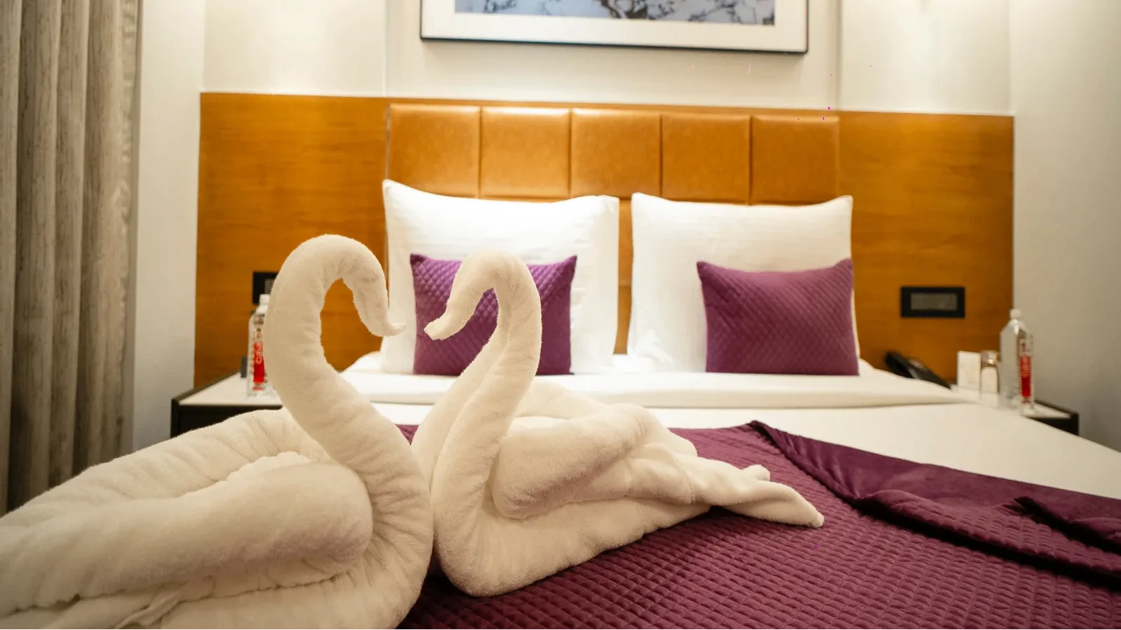 Executive suite room Garden view