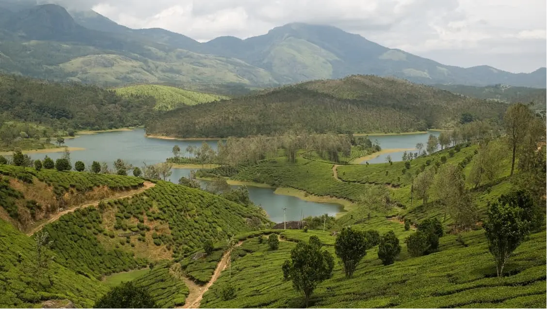 Swamimalai Hills