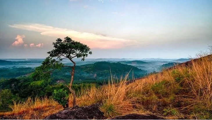 Climb the Vellanikkalpara View Point
