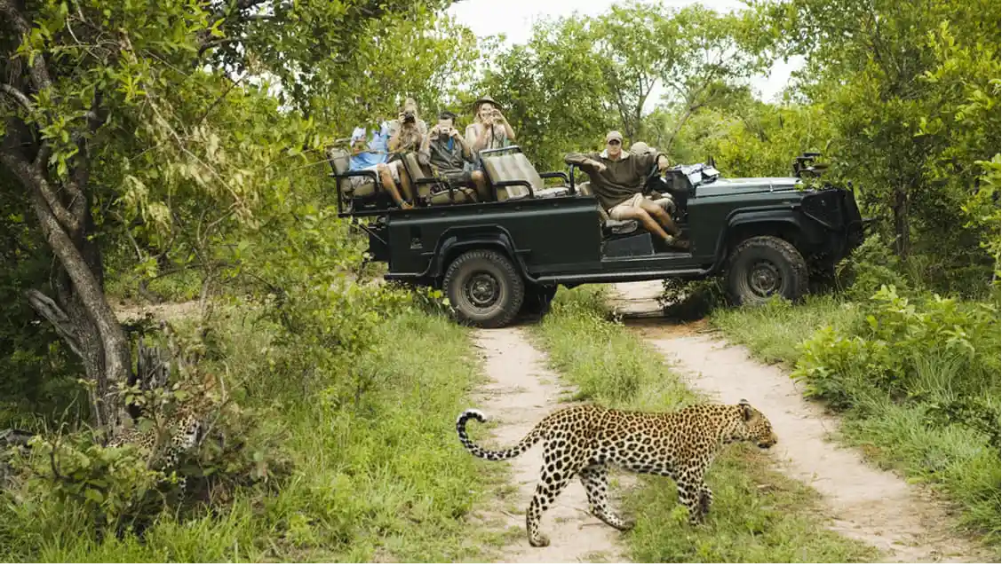 Kumbhalgarh Wildlife Sanctuary
