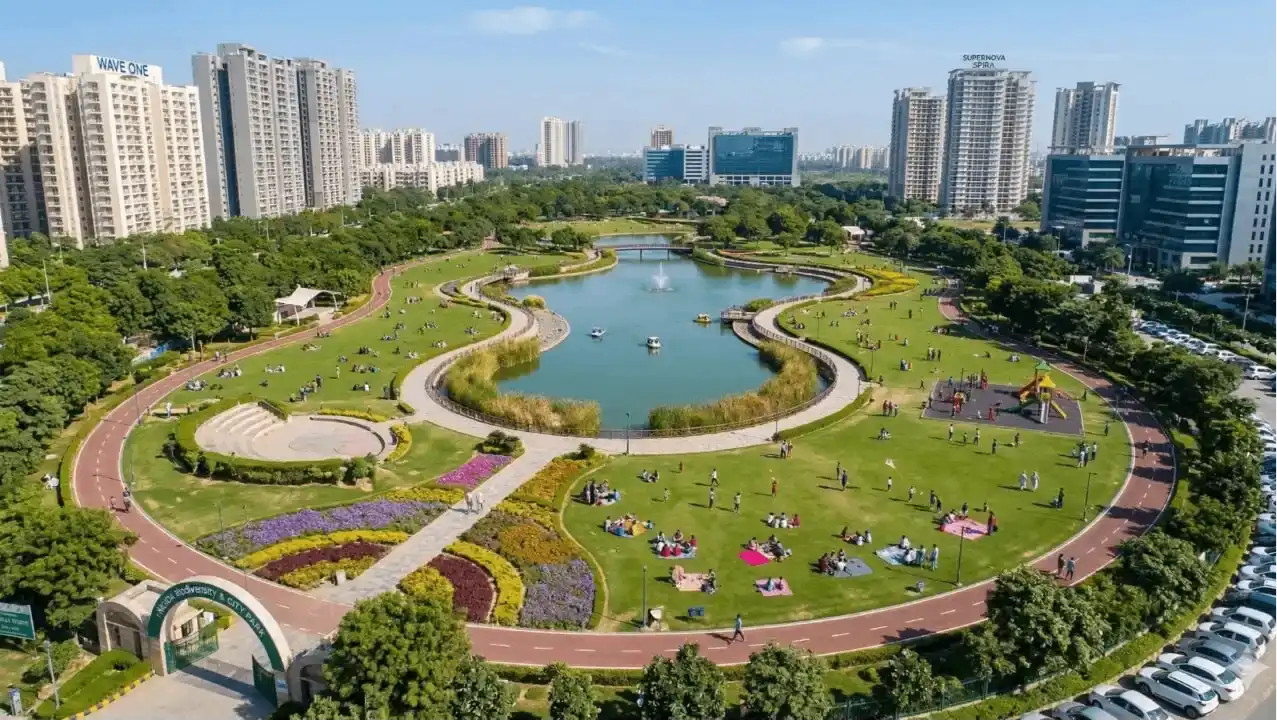 City Park