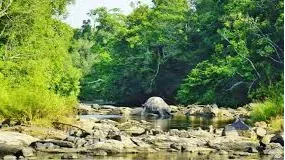 Wayanad