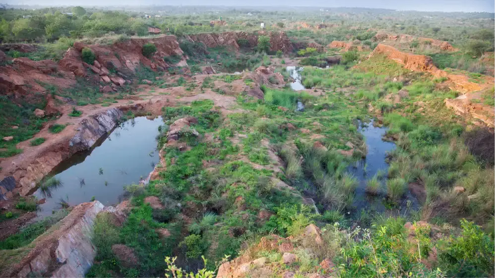 Aravali Biodiversity Park