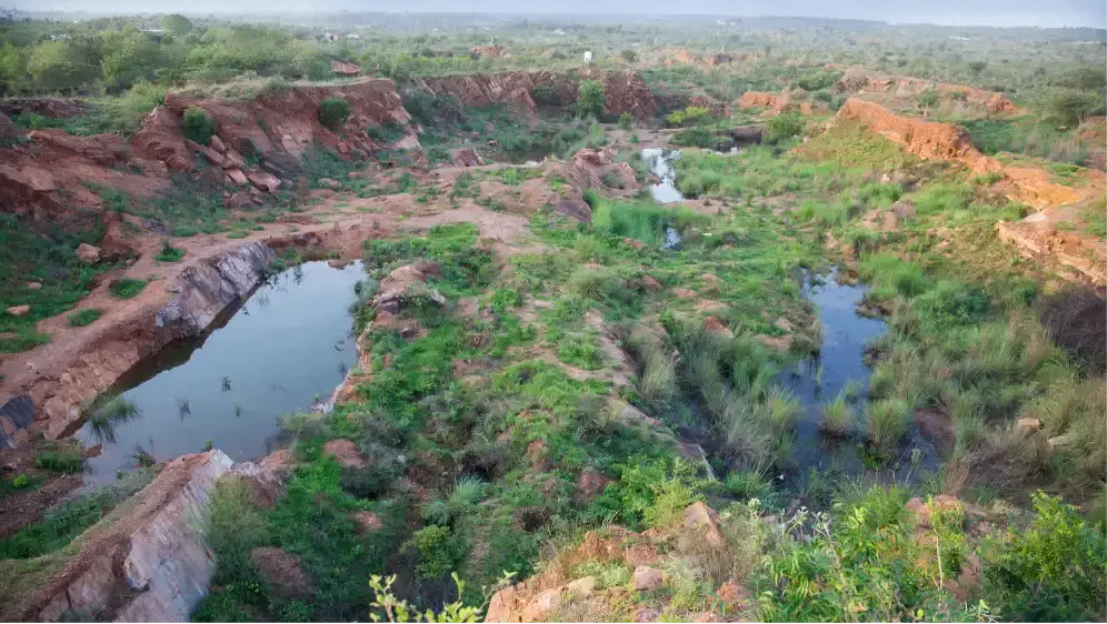 Aravali Biodiversity Park