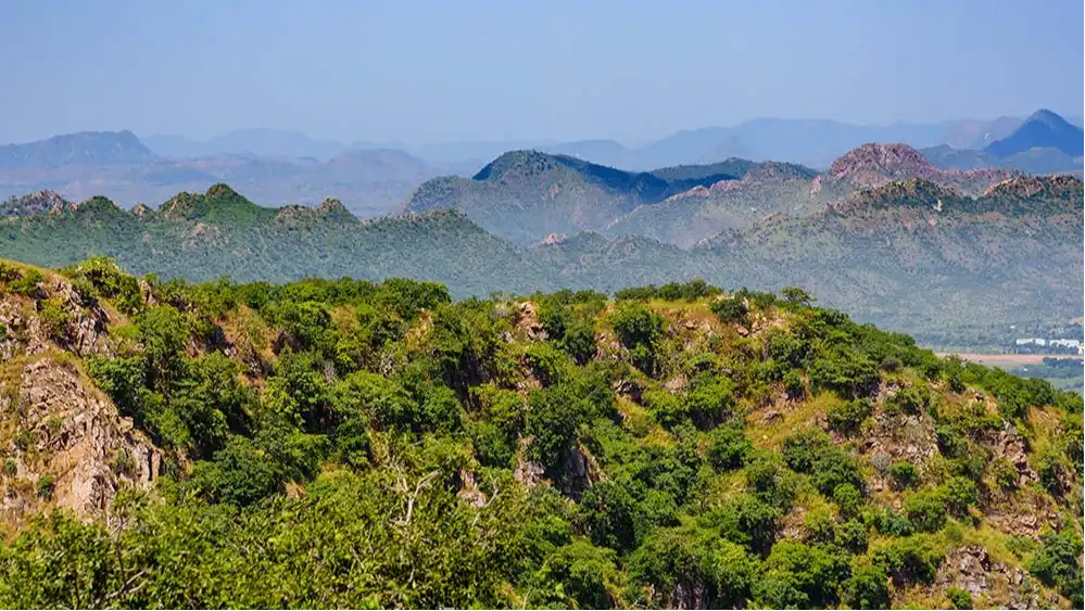 Aravalli Biodiversity Park