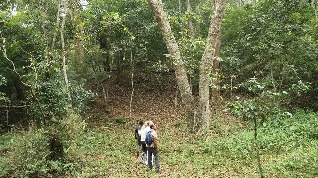 Trekking
