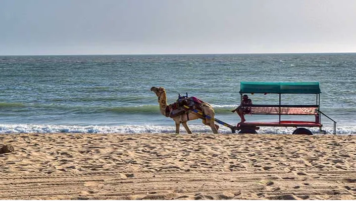 Mandvi Beach