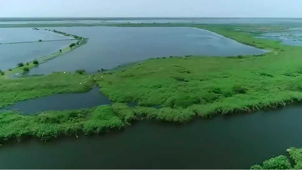 Kolleru Lake