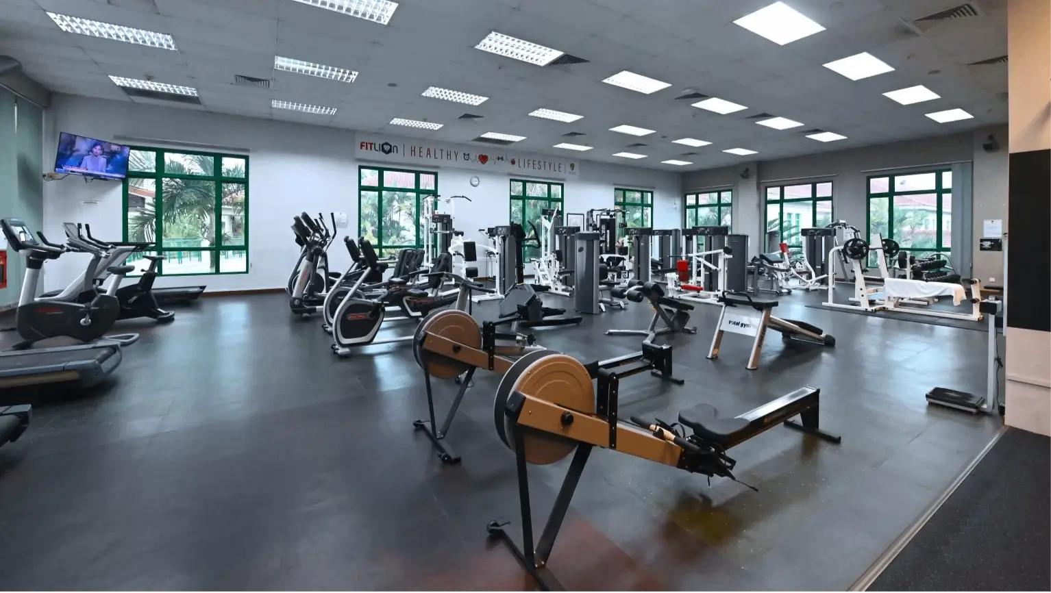 Gymnasium