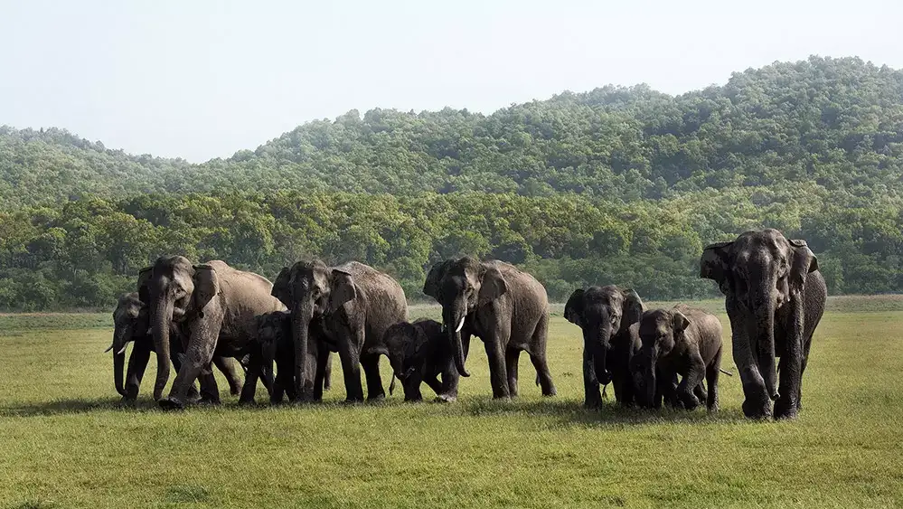 Ralamandal Wildlife Sanctuary