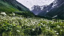 FLOWER VALLEY - 22 KM