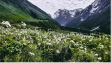 FLOWER VALLEY