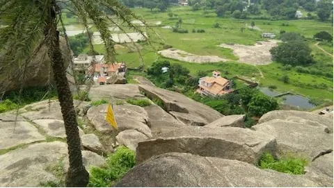 Tagore Hill