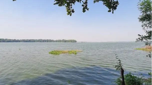 Okhla Bird Sanctuary