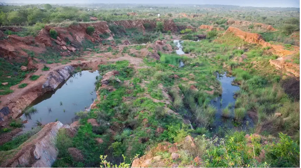 Aravali Biodiversity Park