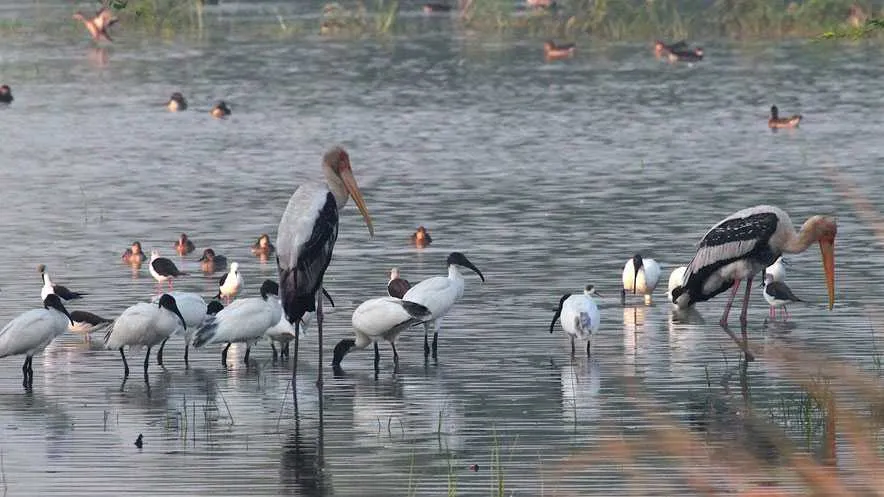 Sultanpur National Park