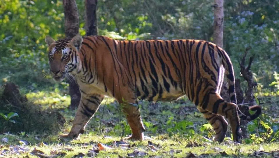 Indore Zoo