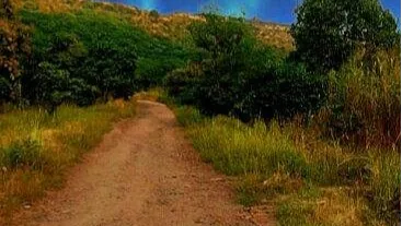 Ralamandal Wildlife Sanctuary