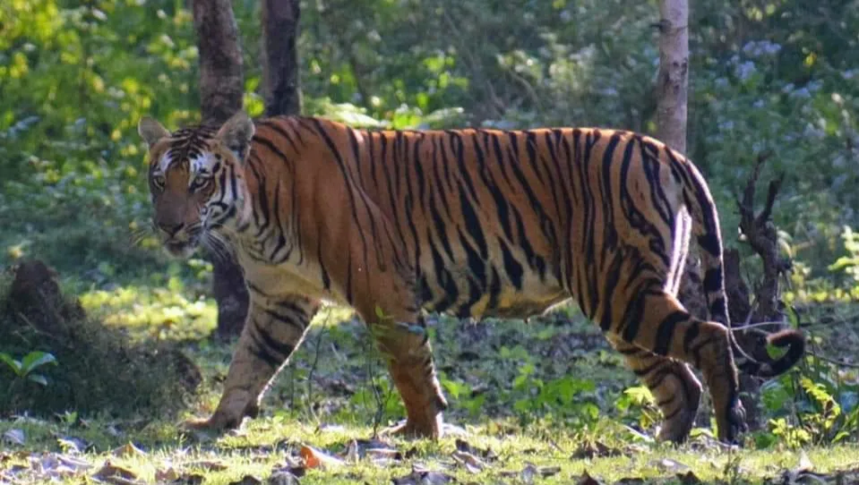  Indore Zoo