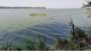 Okhla bird sanctuary