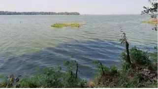 Okhla bird sanctuary