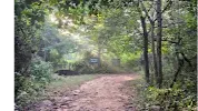 Aravalli Biodiversity Park