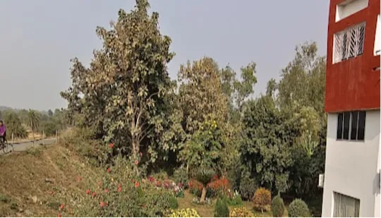 गैलरी फ़ोटो 2